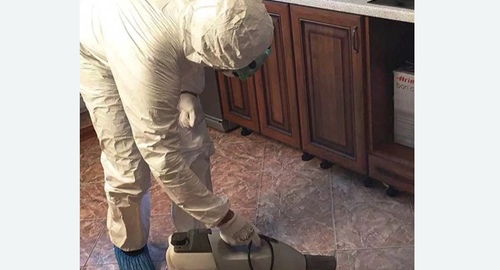 Уничтожение тараканов в квартире. Киевская
